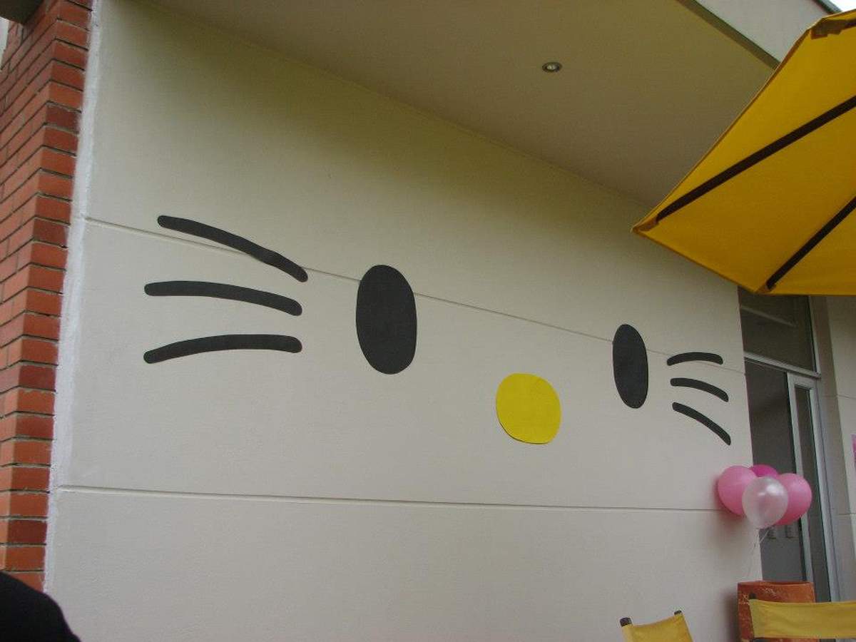 Red and Pink  Hello Kitty Party - Hello Kitty