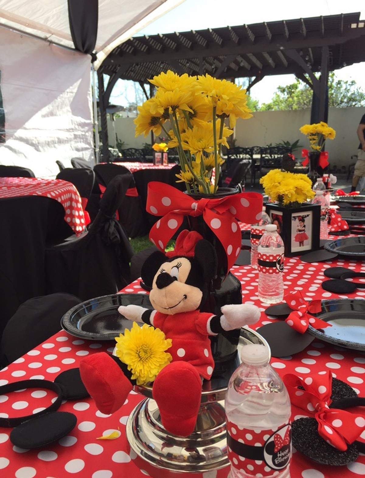 MILA's 2nd Birthday ❤️ - Minnie Mouse