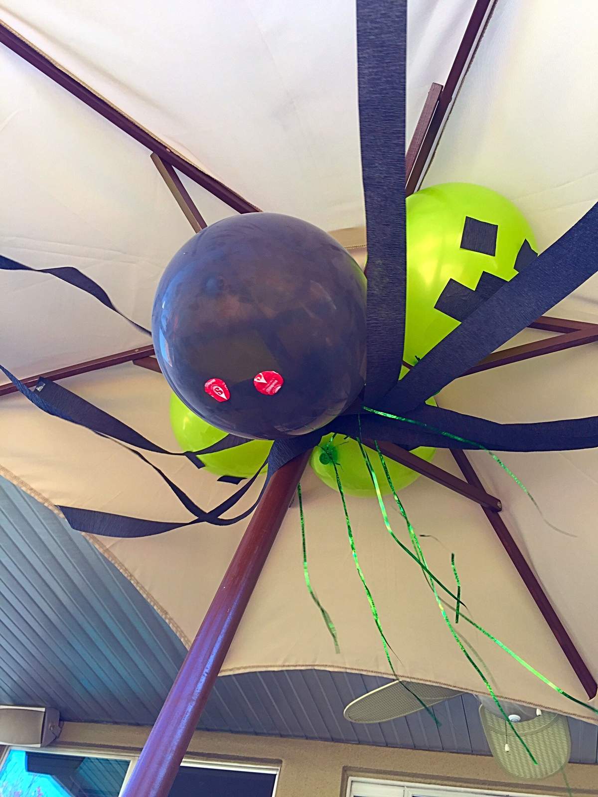 Michael and Jayden's Birthday Party - Minecraft