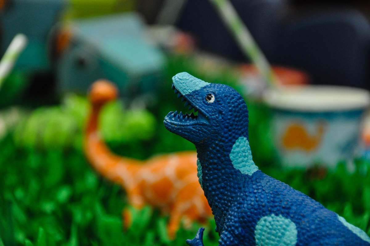 A Roaring 4th Birthday - Dinosaurs