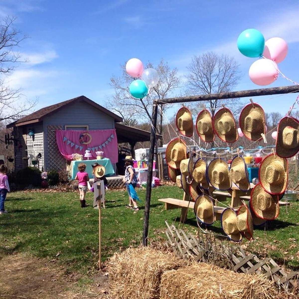 Josselyn's Cowgirl Birthday Bash - Cowgirl