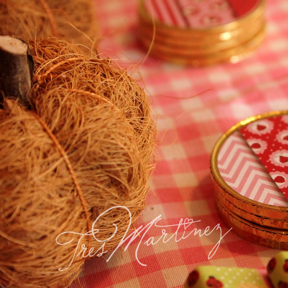 Ladybug Party para Asunción! - Ladybugs