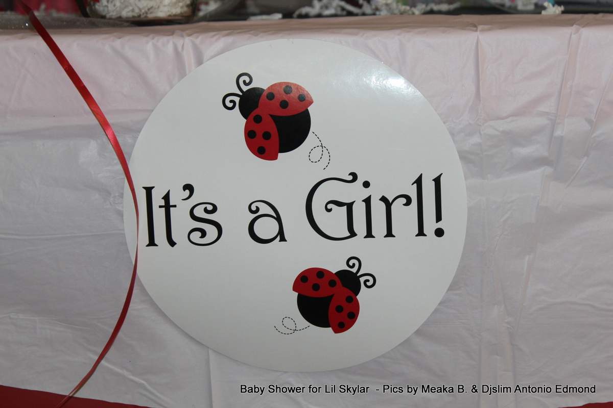 Skylar's LadyBug Shower - Ladybugs