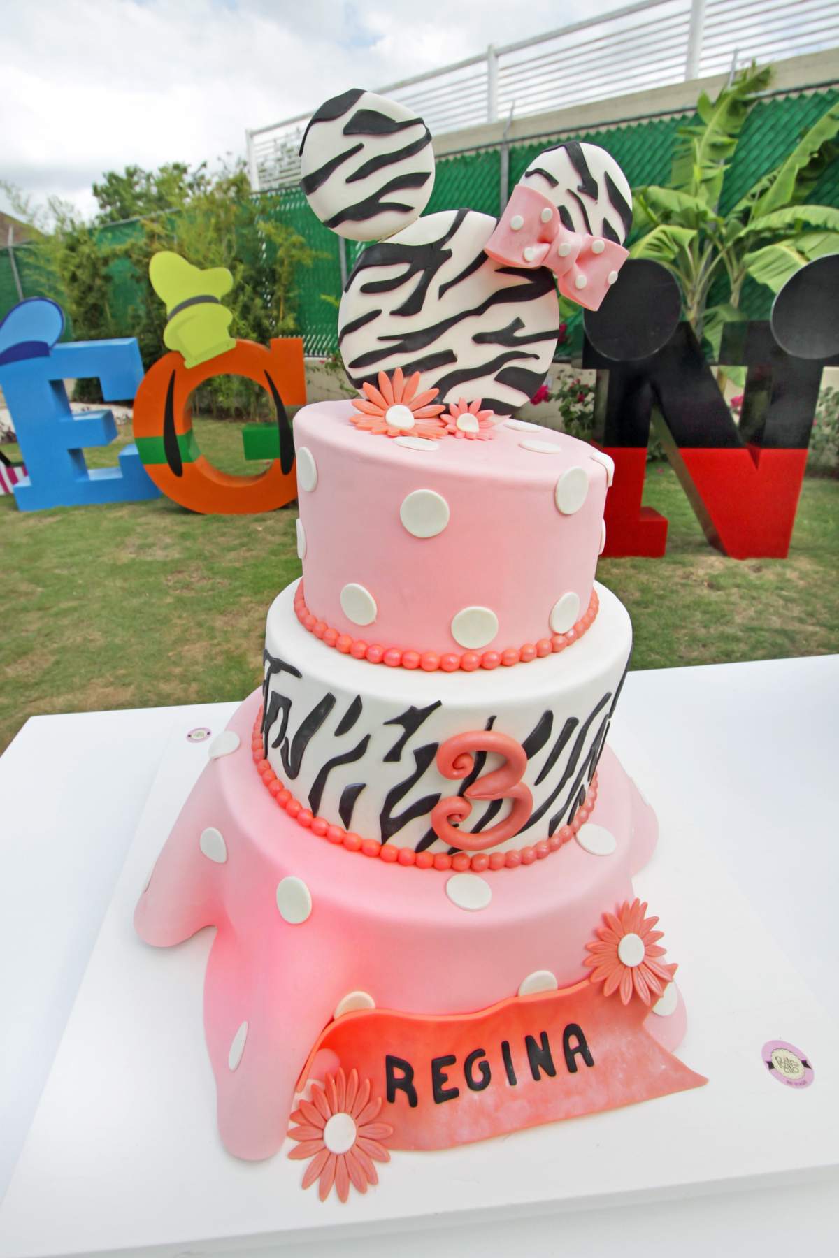 Mickey & Minnie Mouse Party Ideas - Mickey Mouse / Minnie Mouse