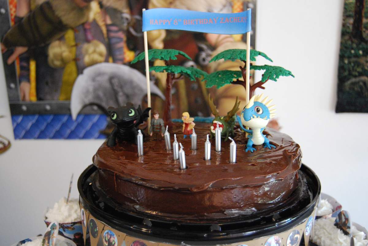 Zach's 8th Birthday Party - How To Train Your Dragon 2