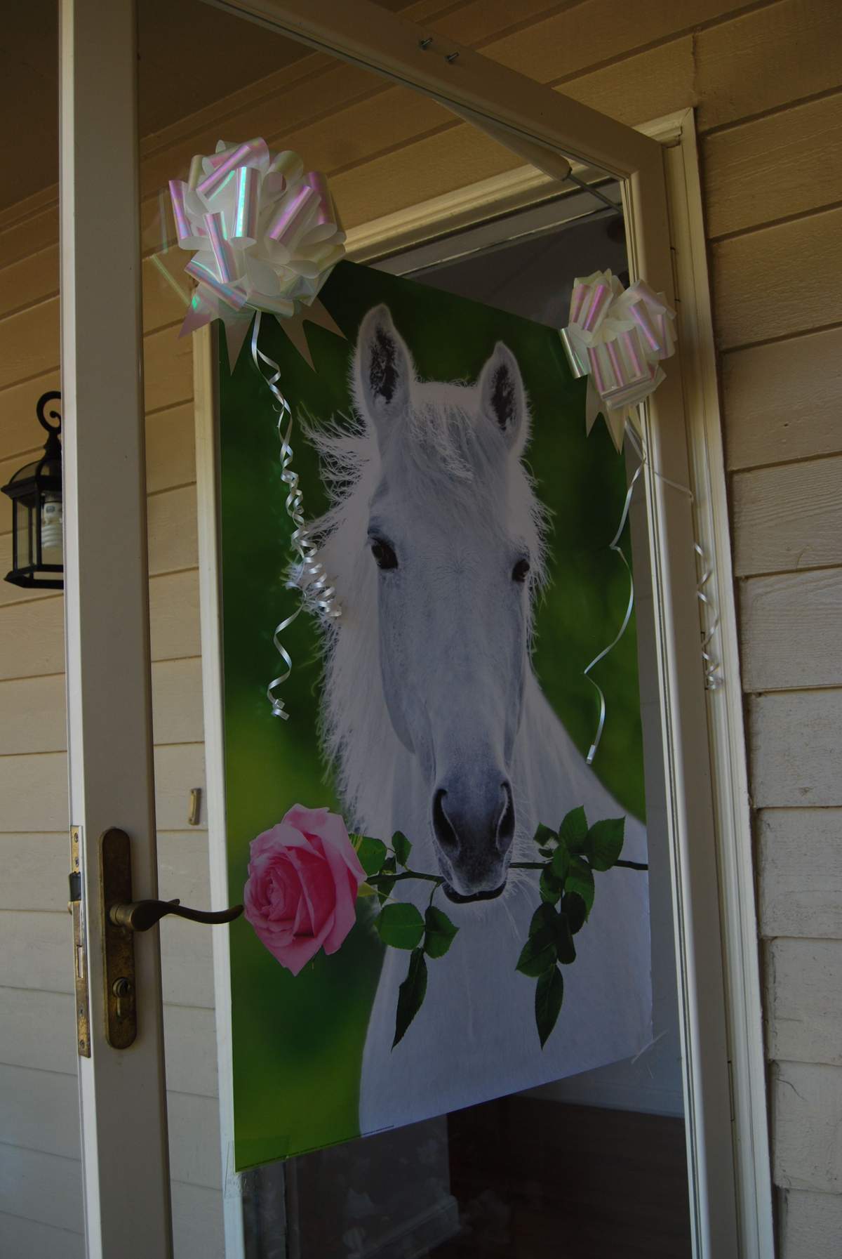 Horses, Horses and Horses - Horses
