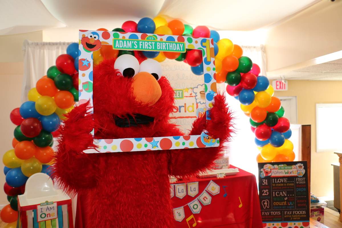 Elmo s World Birthday Party Ideas Photo 3 Of 14 Catch My Party