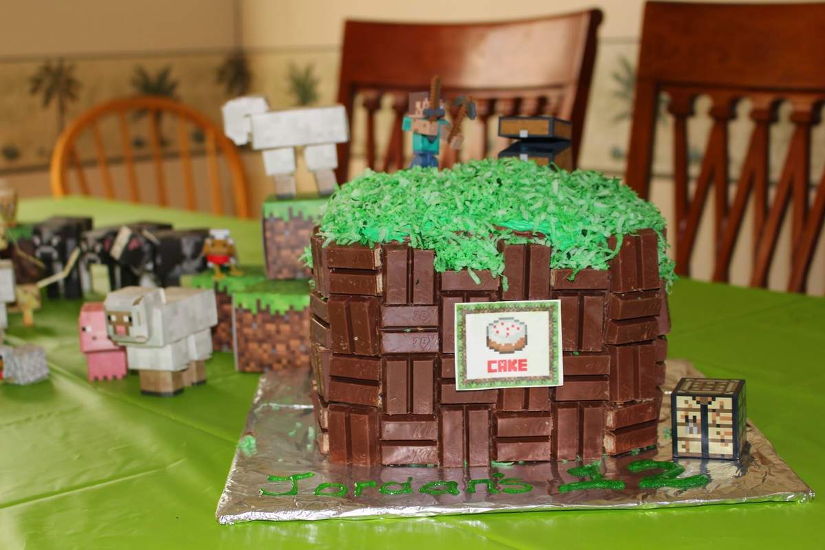 Jordan's Minecraft Birthday Bash - Minecraft