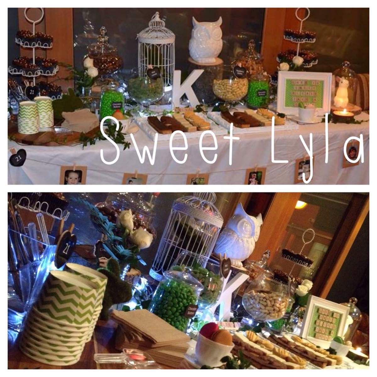Kelsey's 21st Birthday - Rustic/Enchanted