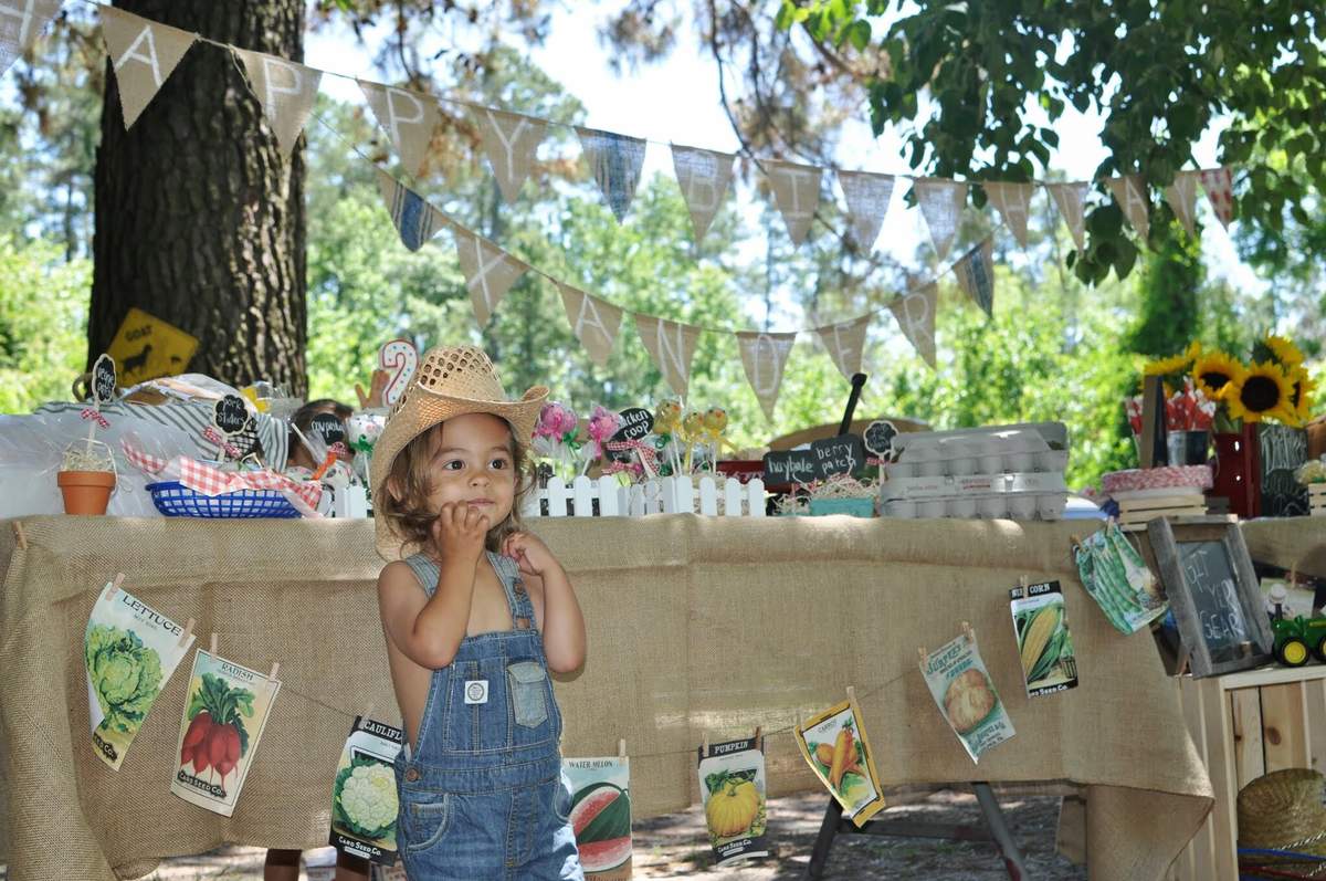 Xander's 2nd Birthday Down on the Farm - Farm