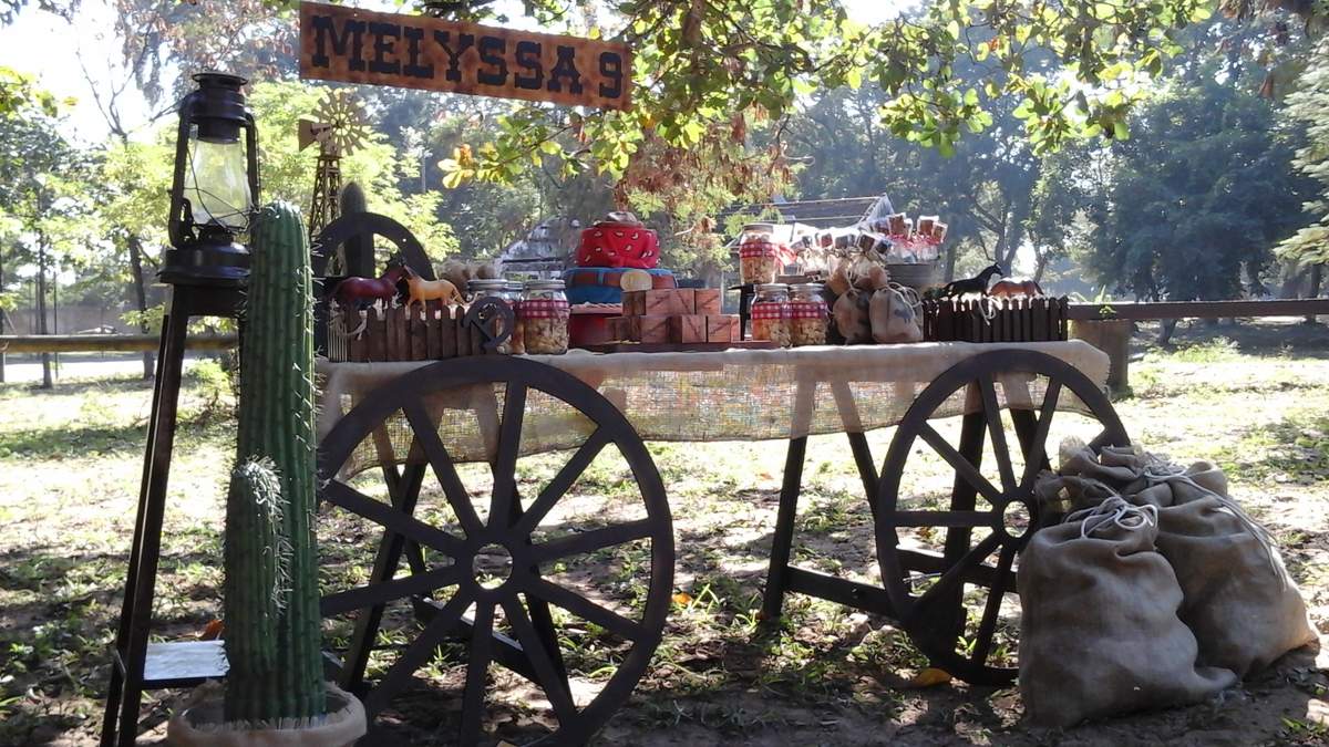 Wild West Cowboys - Wild West Cowboys