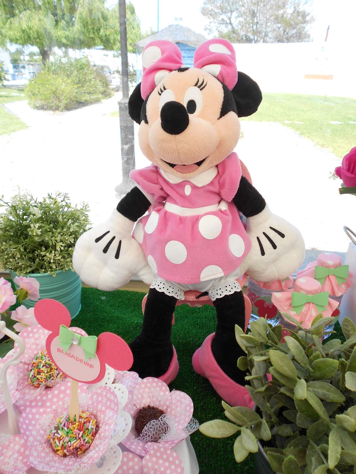 Minnie Pink - Garden