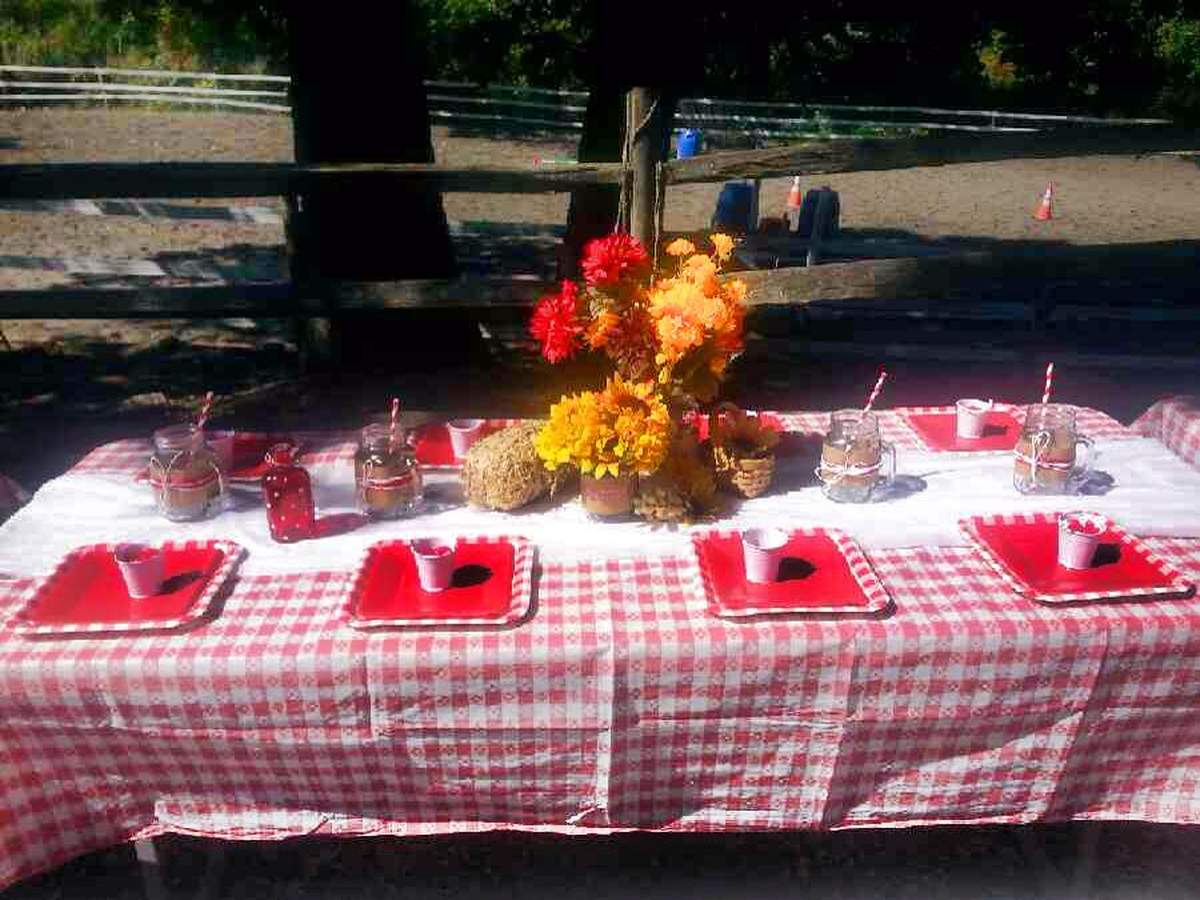 Alannah's Cowgirl Picnic 3rd Birthday Party - Cowgirl