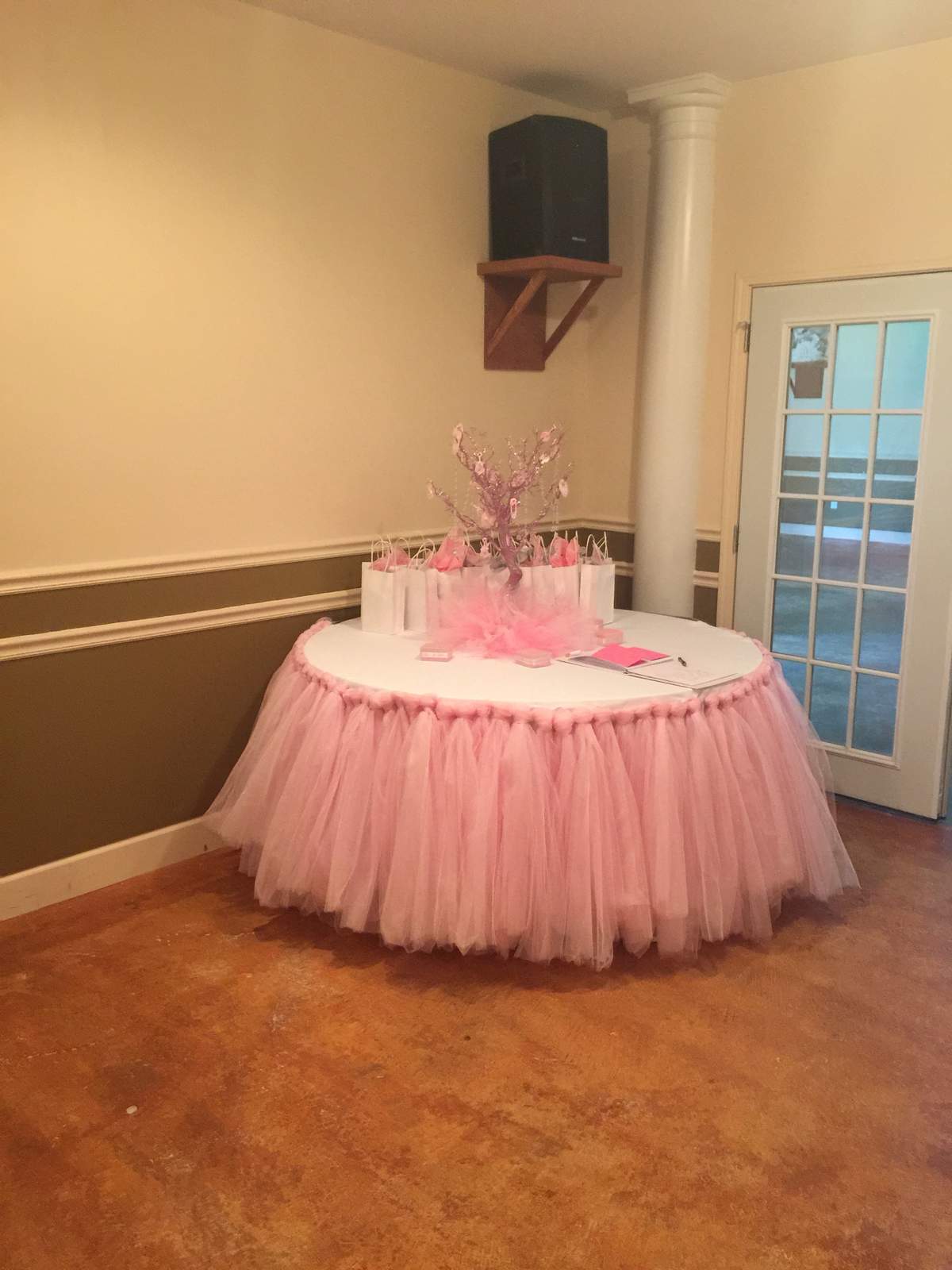 Carriages and tutu - Baby Carriage and tutu