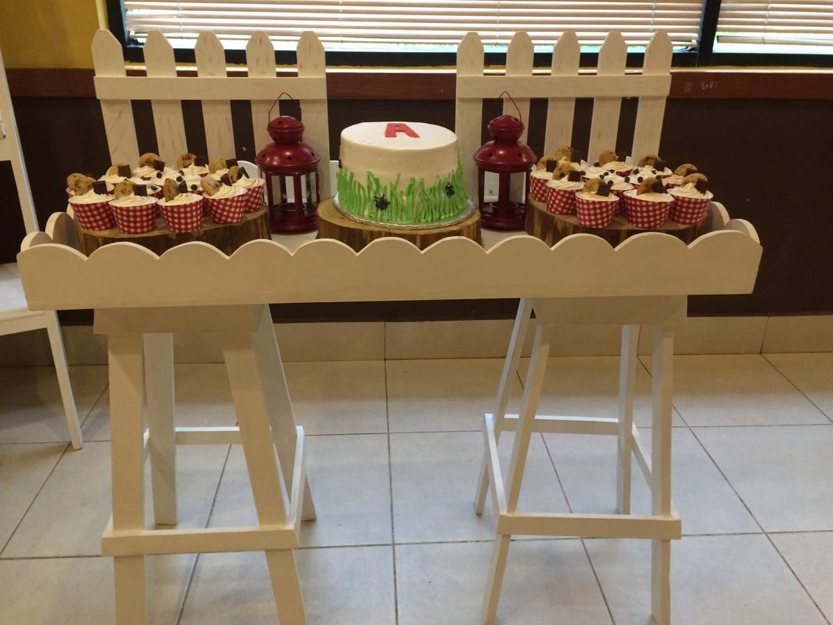 Andres  6th birthday  - Gingham 