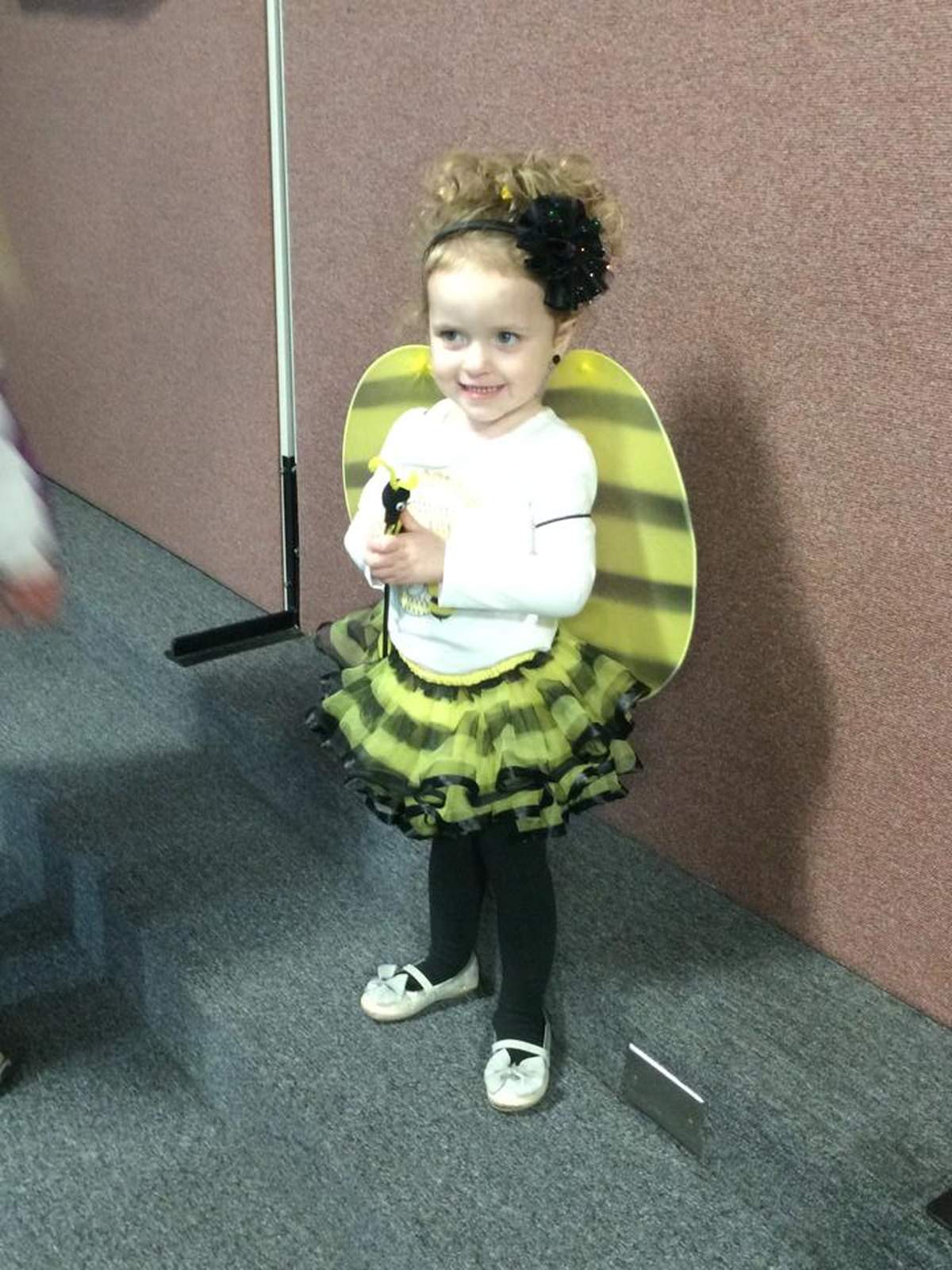 Sweet to bee three - Bumble Bees