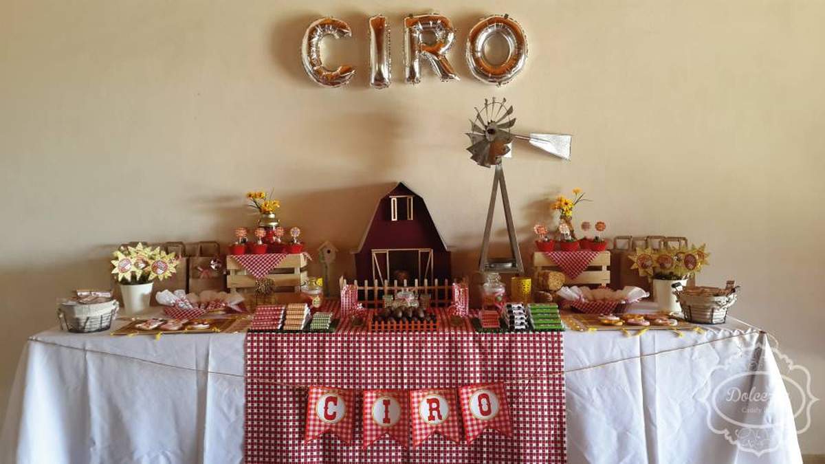 Farm Party | Ciro´s Baptism & First Year - Farm