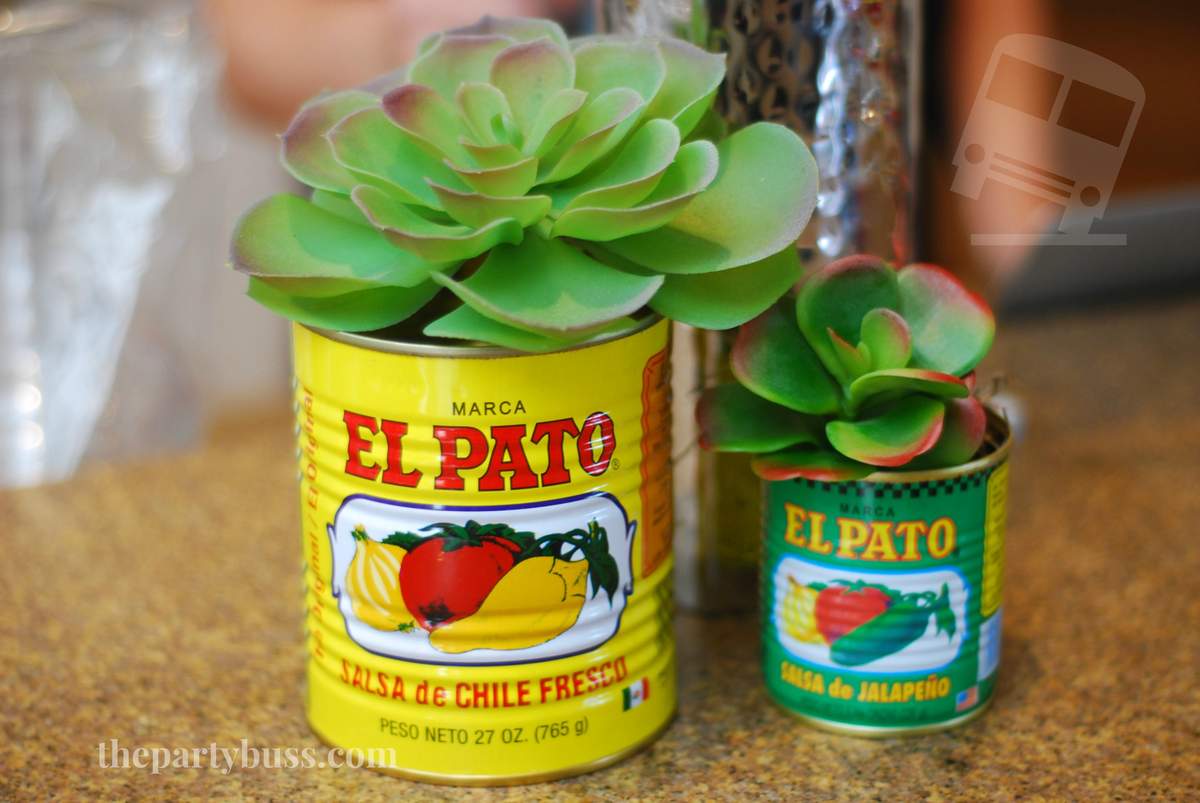 Fiesta Birthday Party  - Fiesta / Mexican