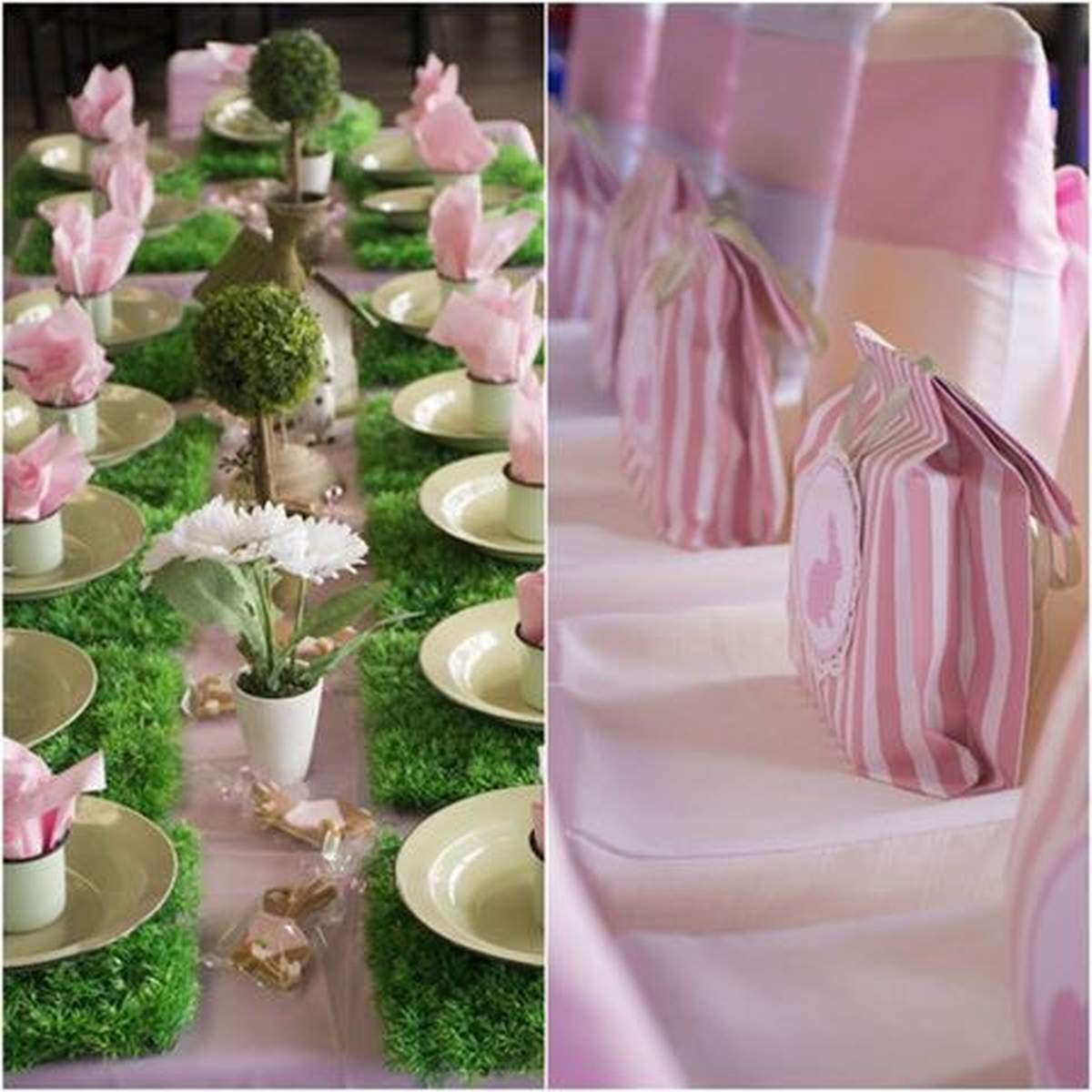 Peter rabbit - Peter rabbit birthday celebration