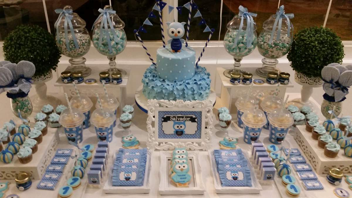 Salvador Little Owl Party  - Owls