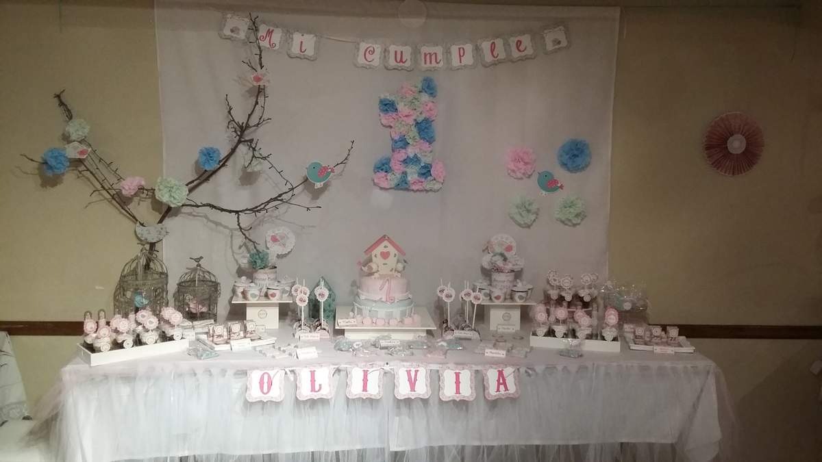 Cumple Pajaritos - 1st Birthday