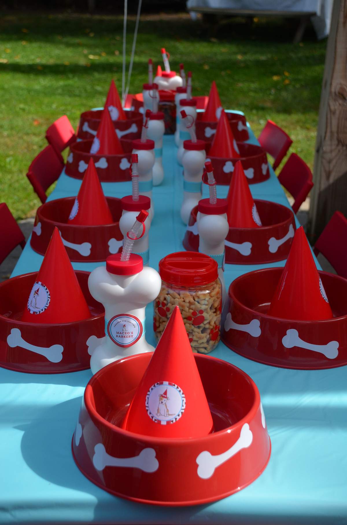 Puppy Birthday Party Ideas Photo 20 Of 44 Catch My Party