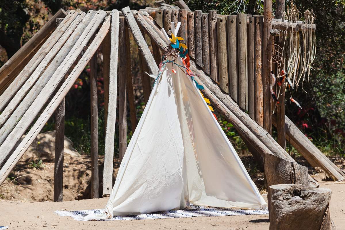 Wild One First Birthday Party Birthday Archer s Wild One Party wild-one-first-birthday-party-birthday-archer-s-wild-one-party