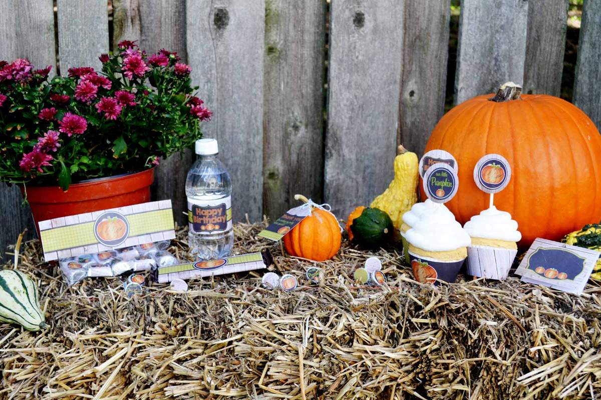 Chalkboard Pumpkin Party - None