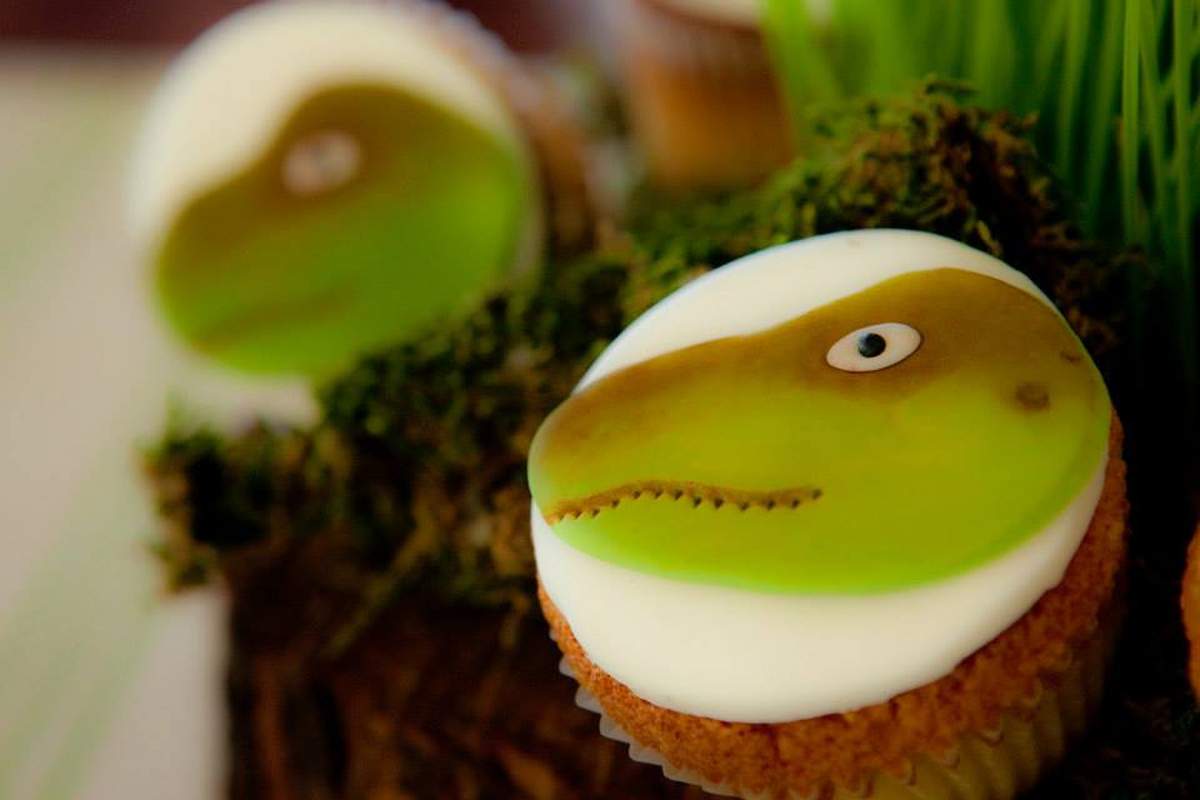 dinosaur-birthday-party-ideas-photo-1-of-37-catch-my-party