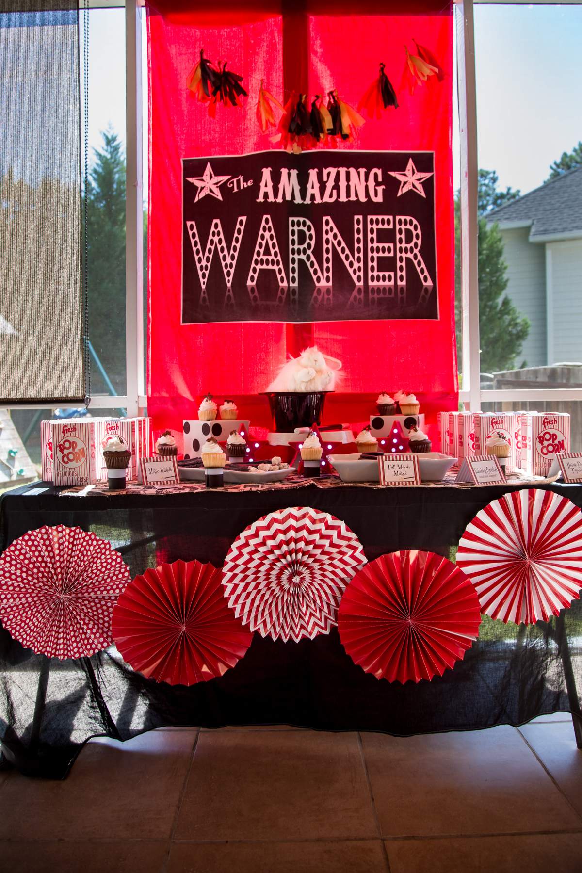 Warner's Magical 5th Birthday - Magic