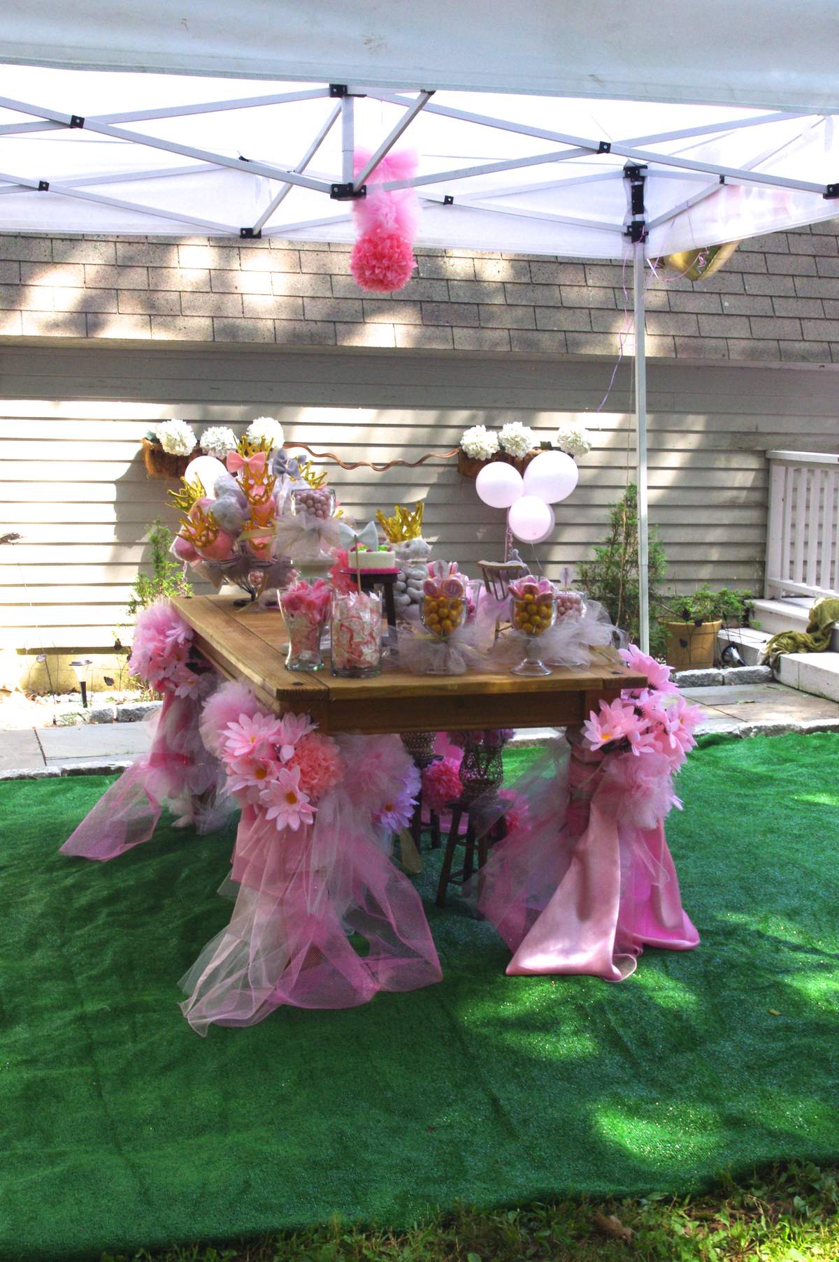 Nicole's Pink Carpet Event - Princess and elephants