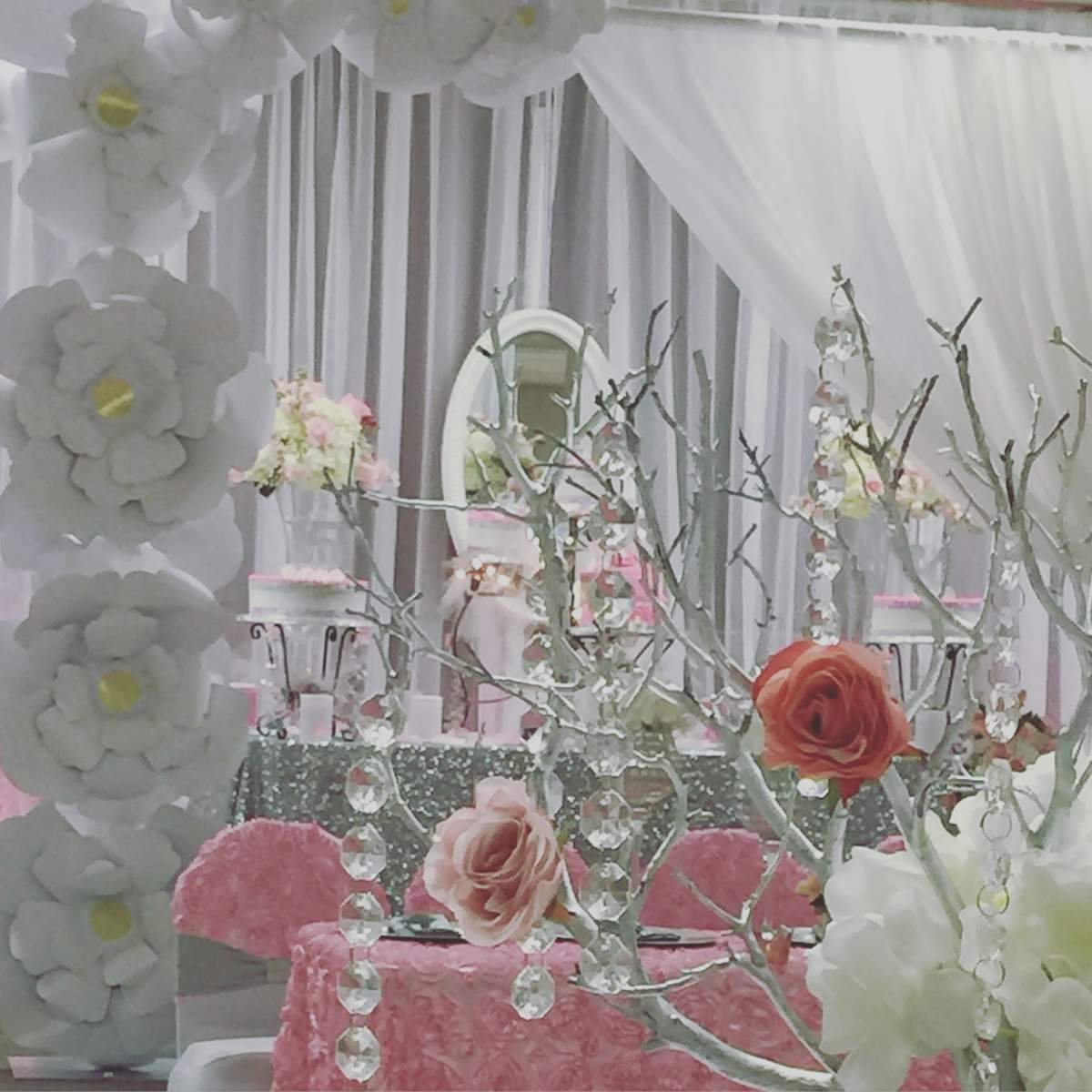 Roses  Garden - Roses