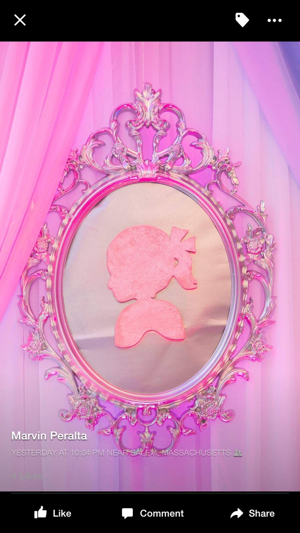 Awesome gender reveal decoration! - None