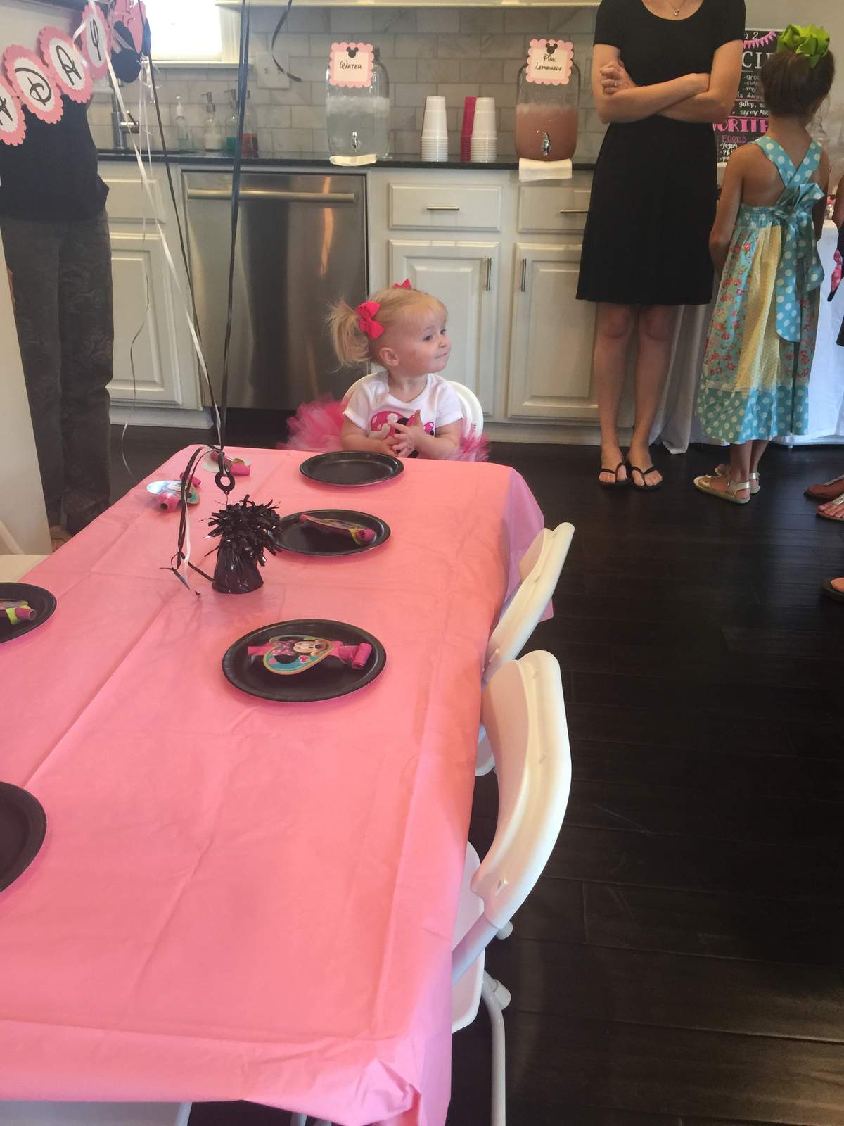 Jennings' Minnie Mouse 2nd Birthday Party - Minnie Mouse