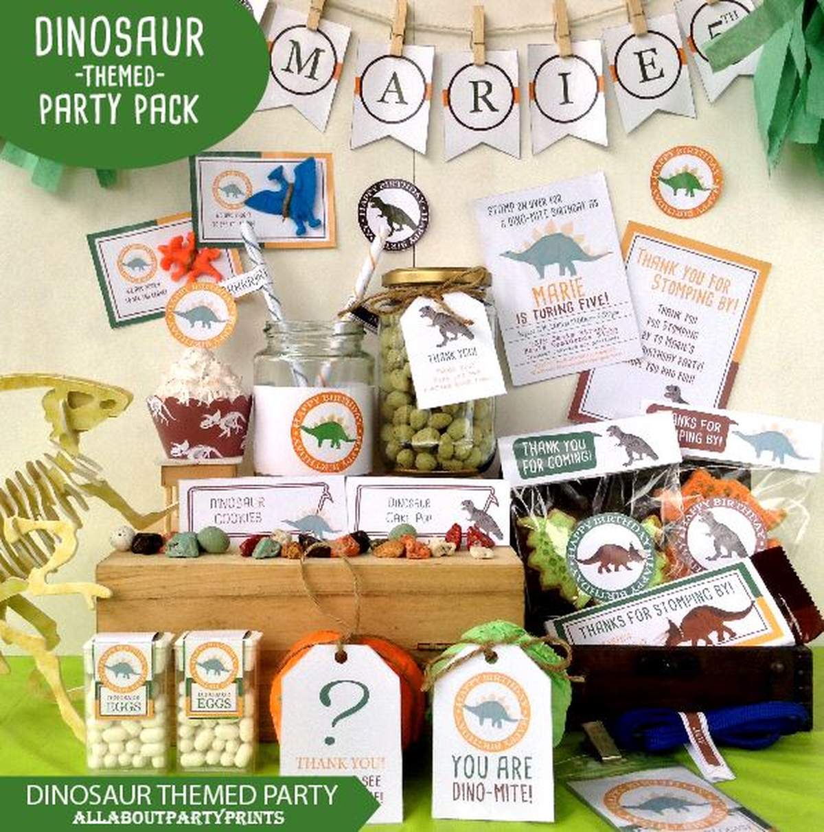 Marie's Dinosaur Party 5th Birthday party - Dinosaur party