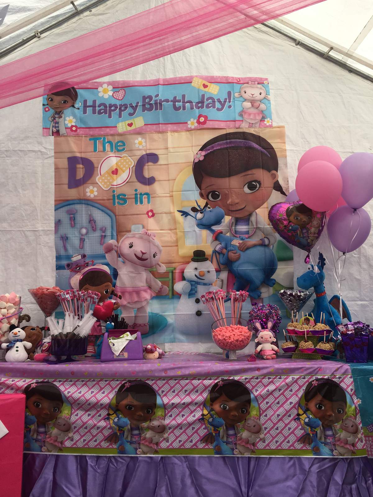 Doc McStuffins Birthday Party Ideas Photo 17 of 19 Catch My Party