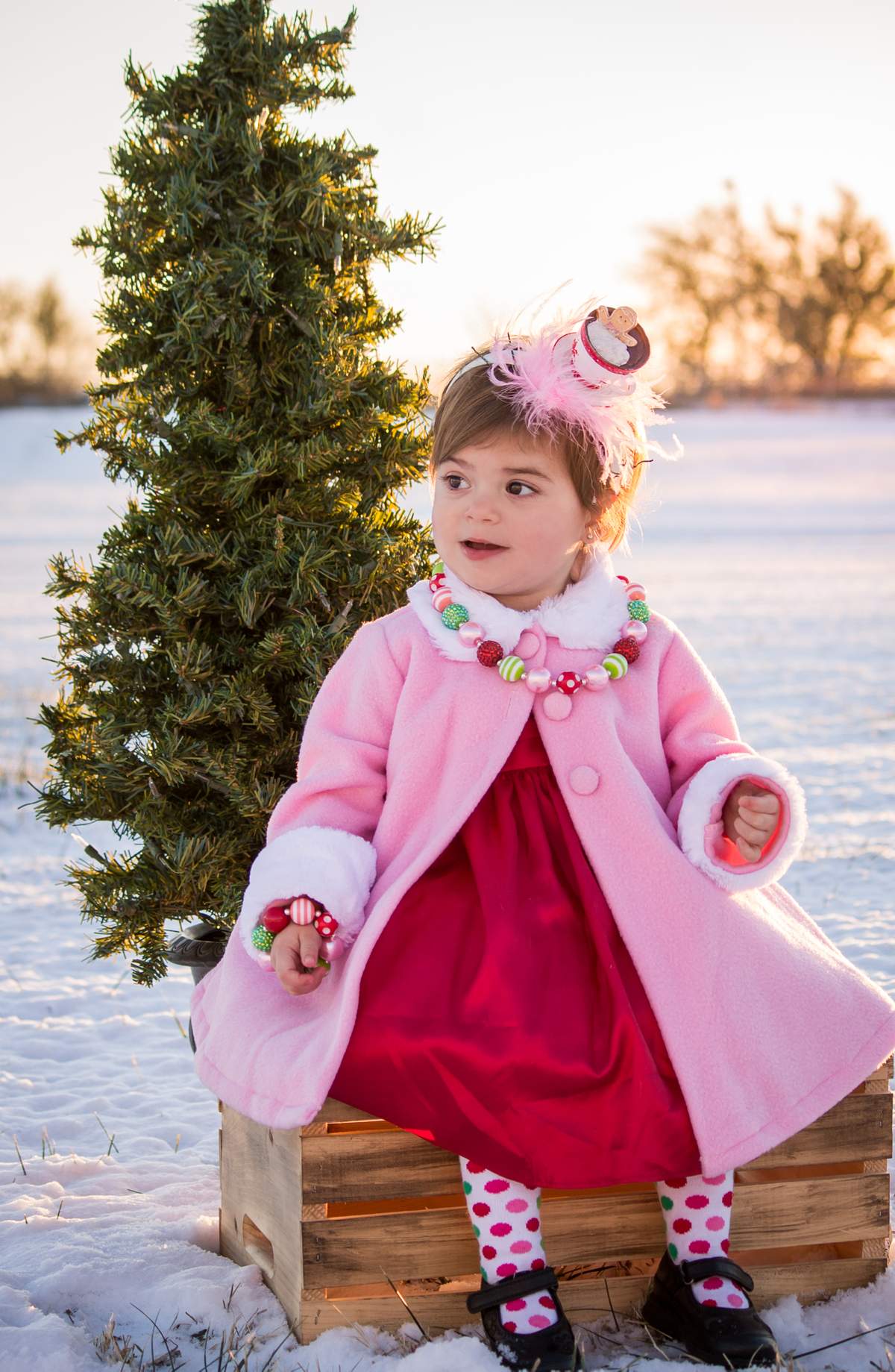 Zoe Lou Who Turn's Two! - How The Grinch Stole Christmas