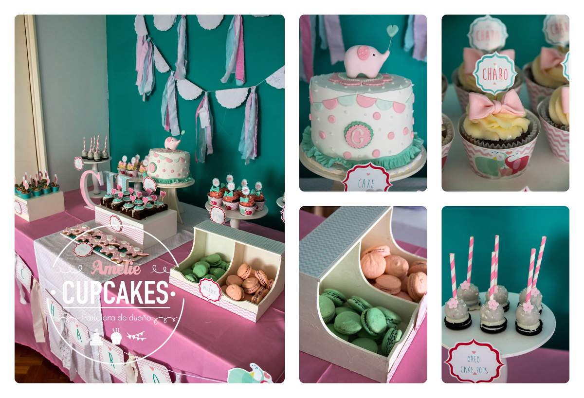 Sweet Elephant Charo Turns One  - Elephants
