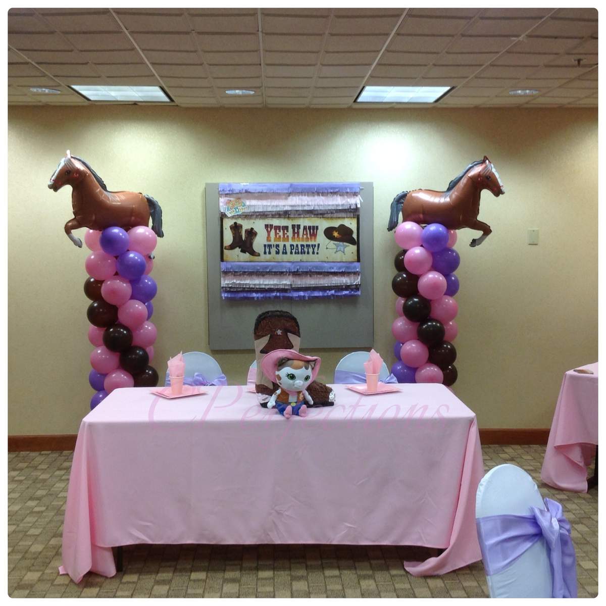 Sheriff Callie 1st Birthday - None