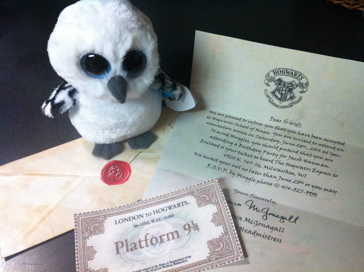 Jake's Magical Birthday Party - Harry Potter