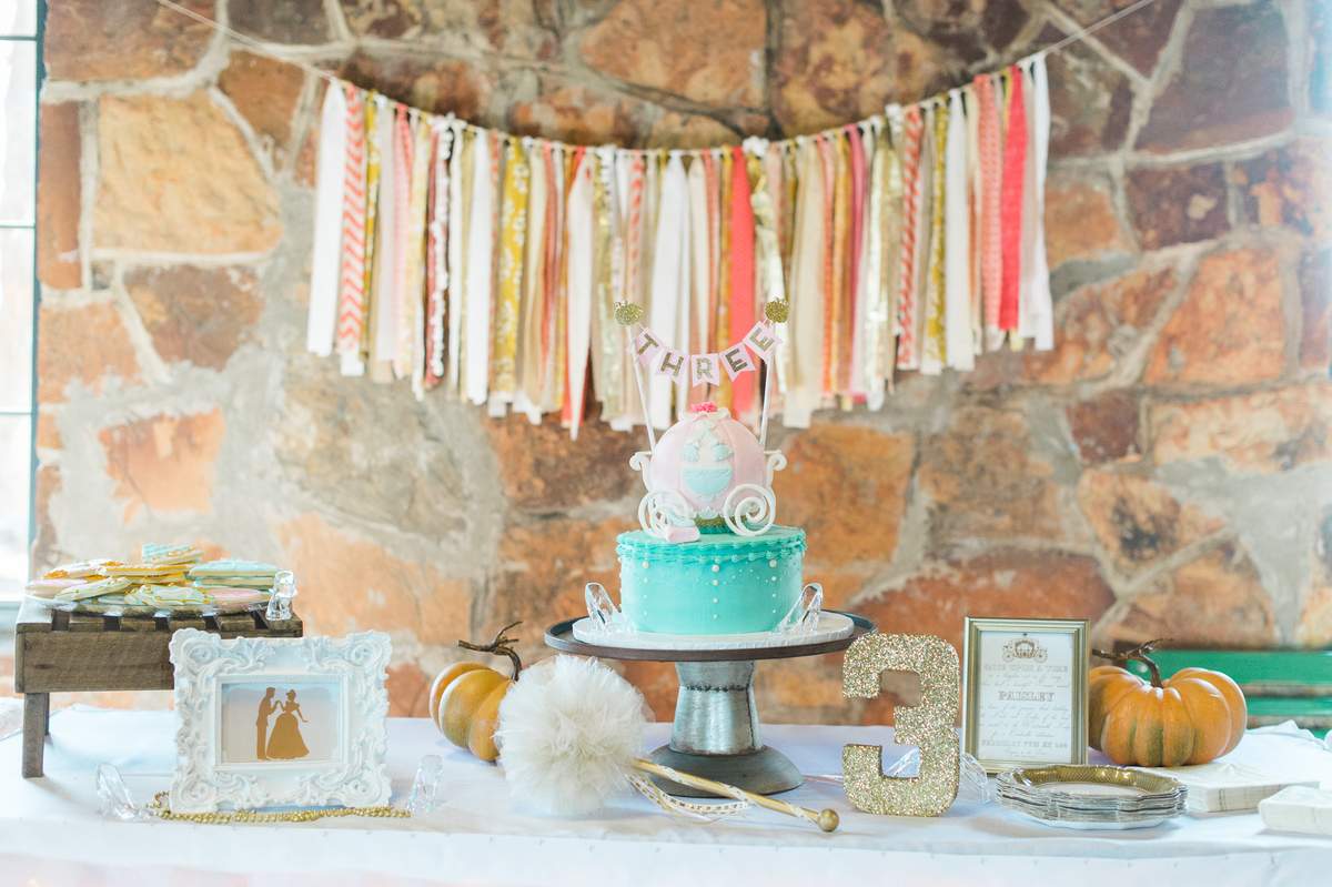 Paisley's Cinderella Birthday - Cinderella