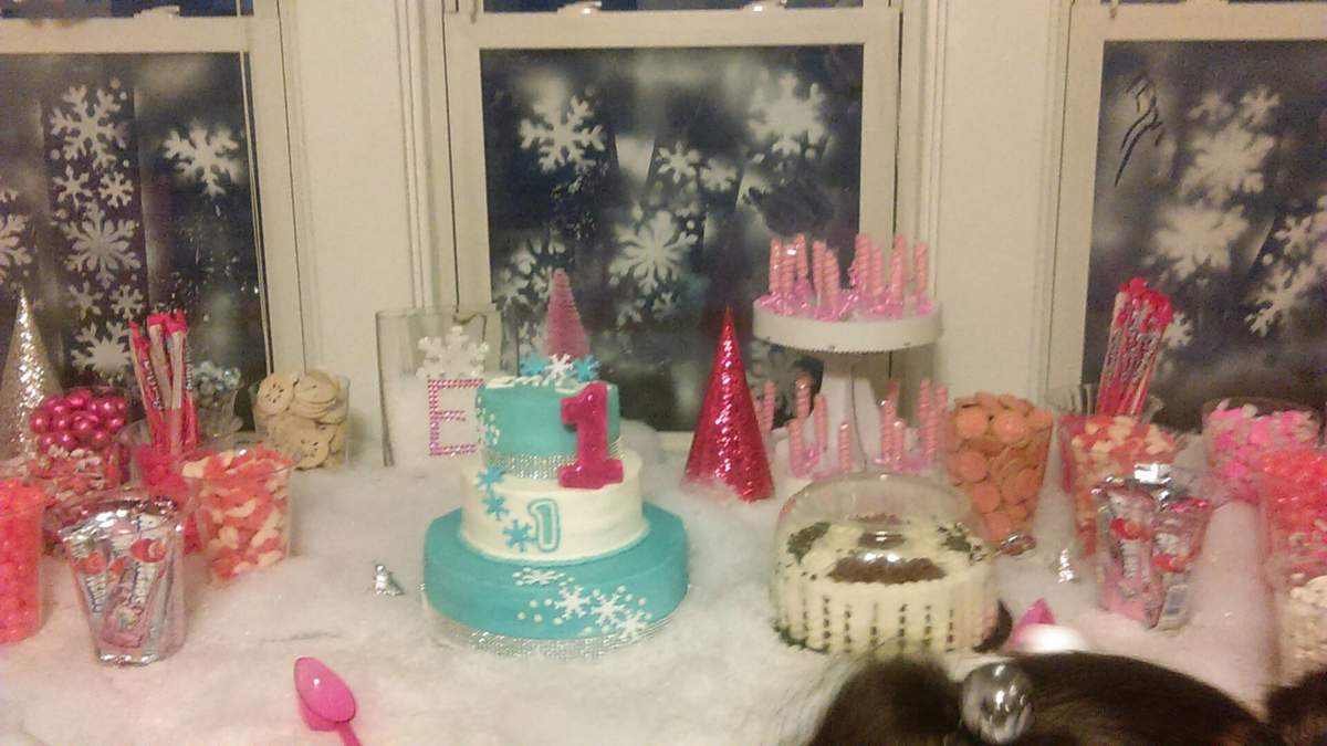 Emily's Winter Onederland  - Wintery 