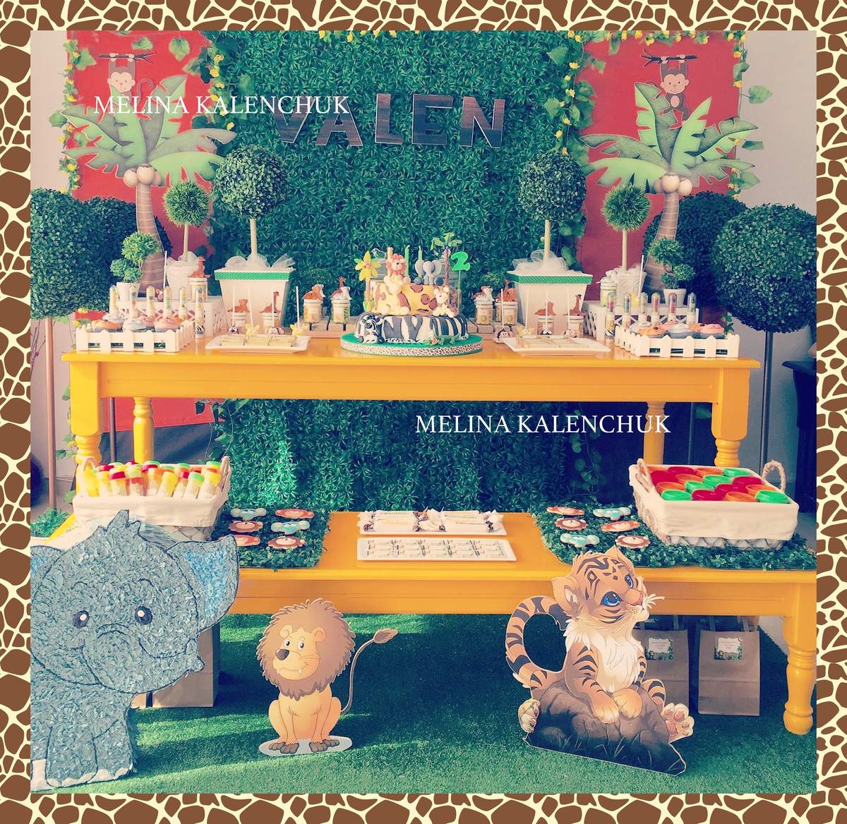 Safari party theme - Safari
