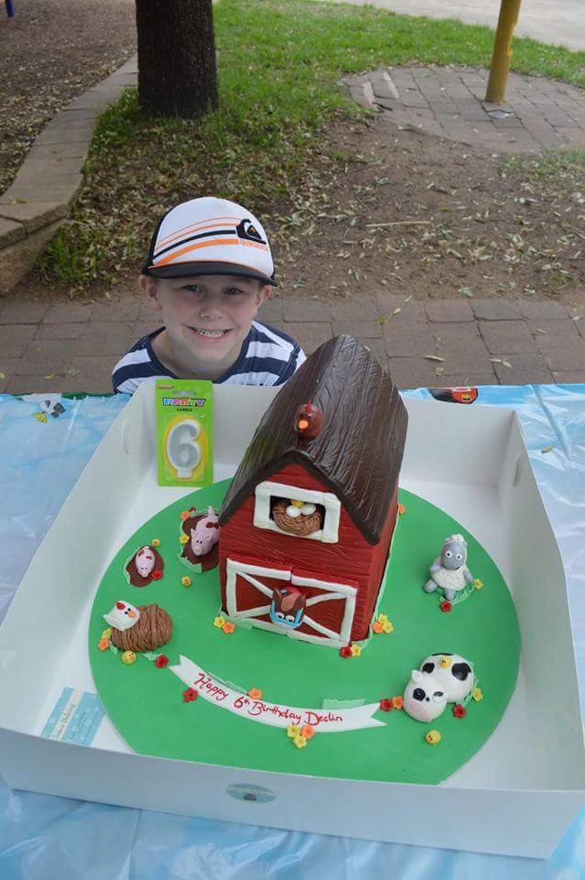 Declins Farm Party - Farm