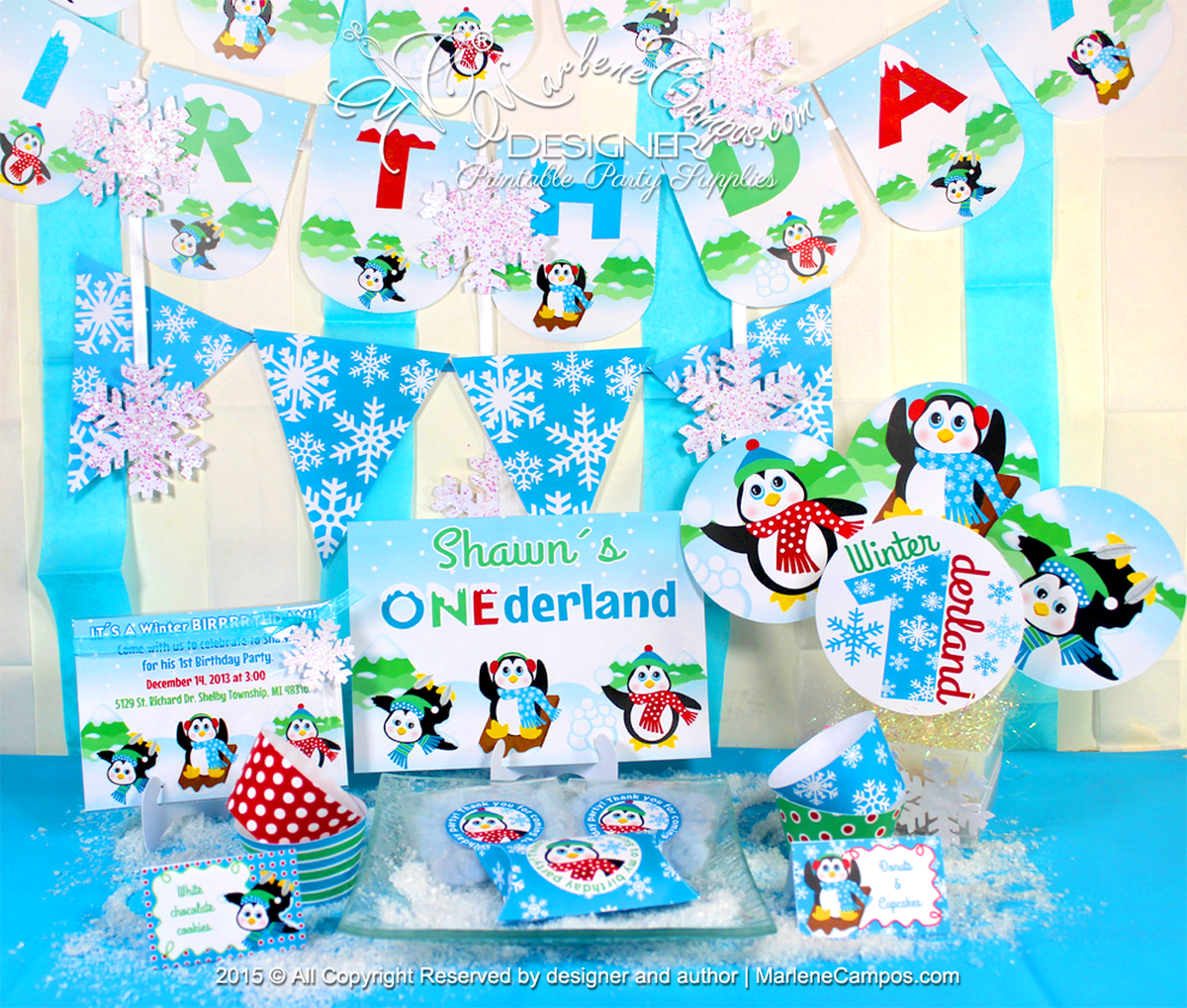 Winter ONEderland Birthday  - Winter On Ederland 