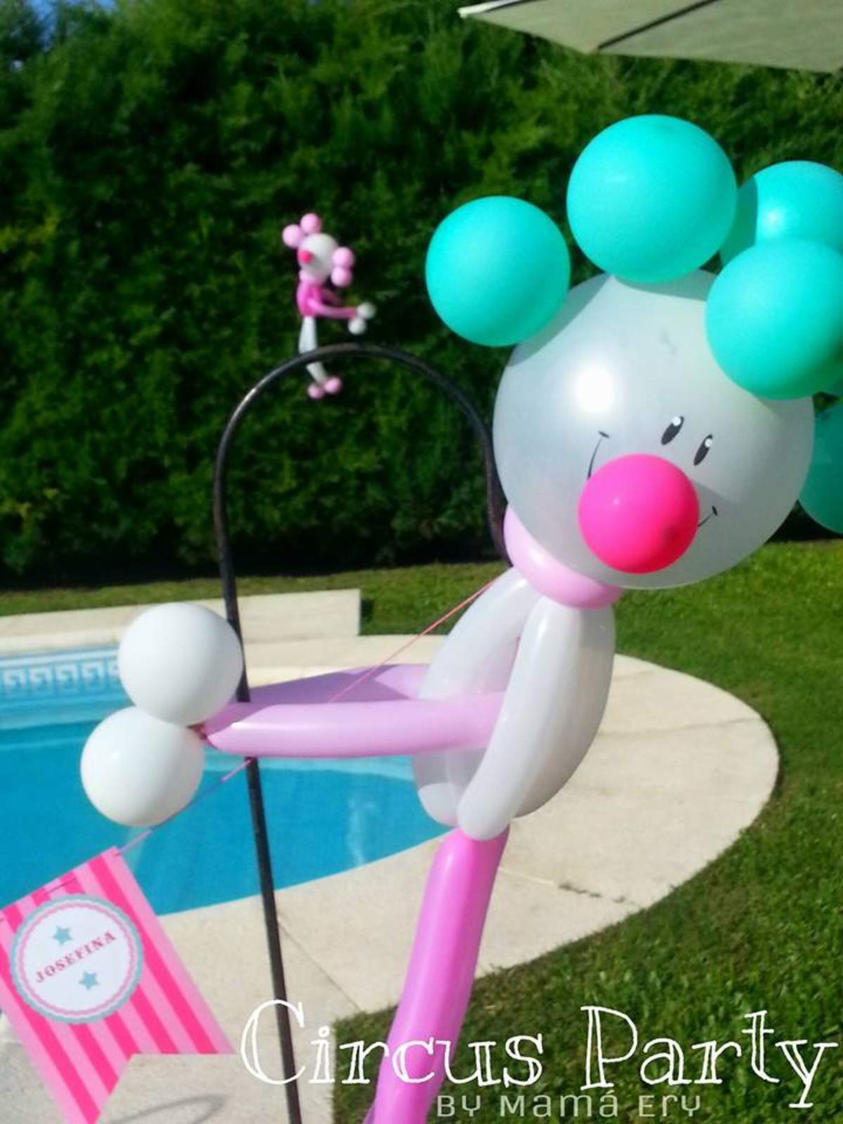 CLOWN PARTY GIRL - CLOWN PARTY GIRL