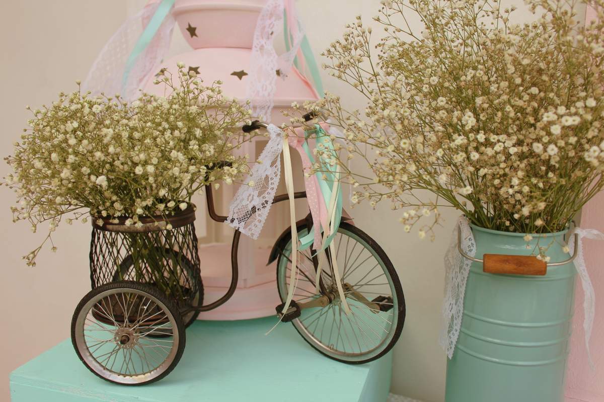 "Valentina's Baby Shower" - Shabby chic