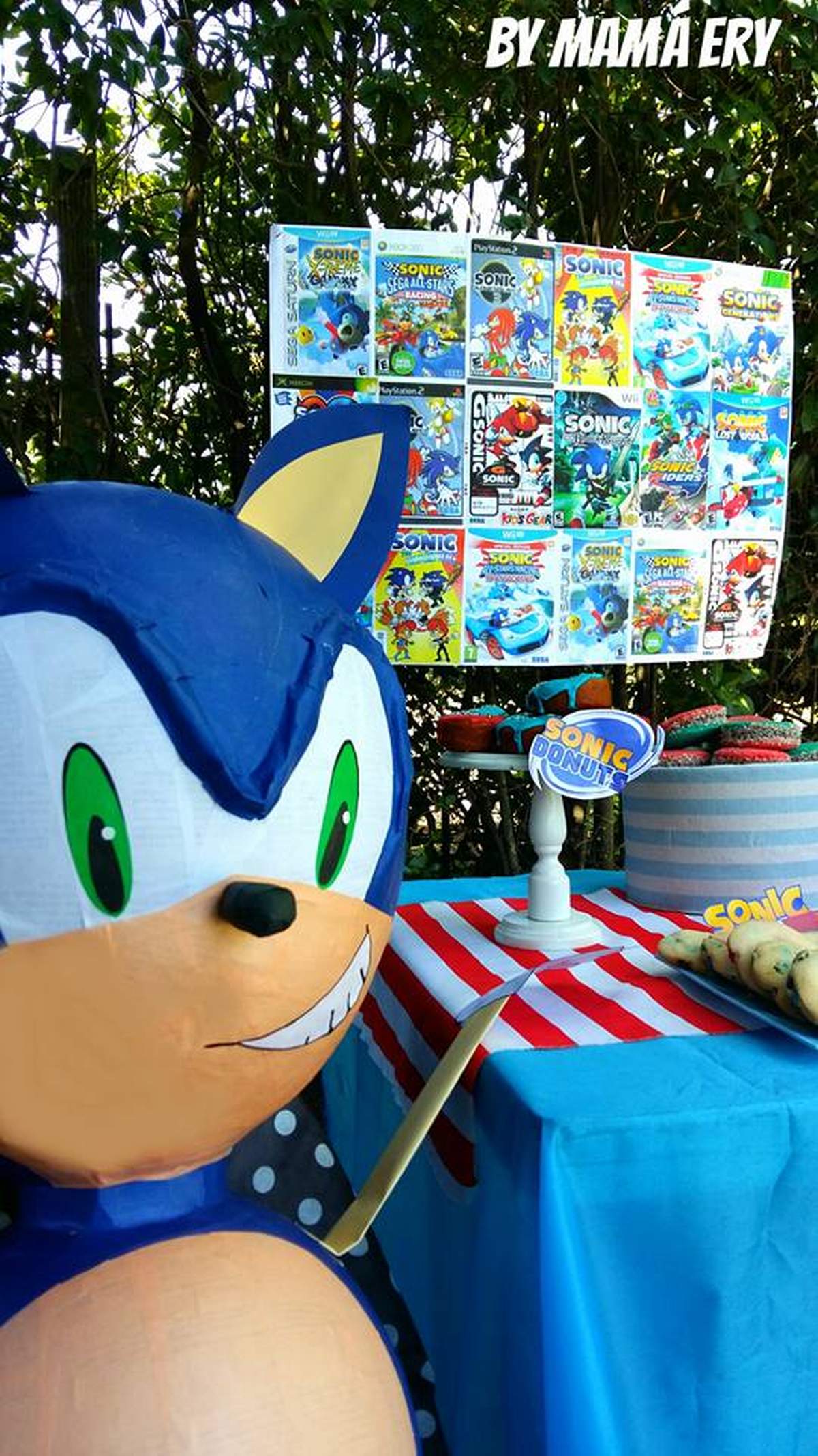SONIC GAME PARTY Birthday Party Ideas Photo 27 Of 34 Catch My Party