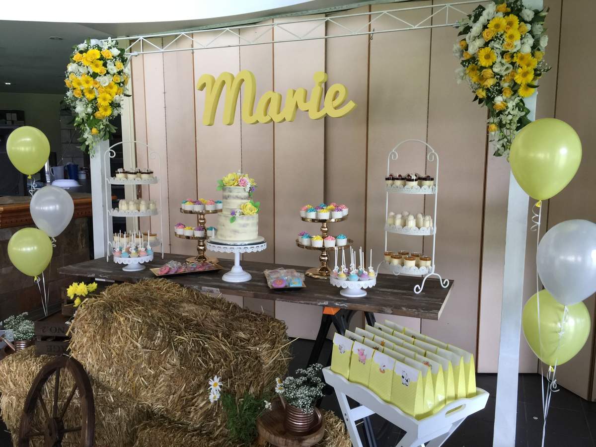Marie's 2nd birthday  - Barnyard 