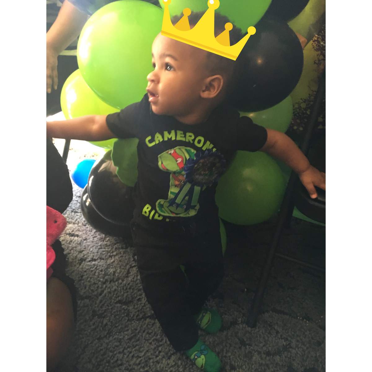 Cameron's 1st Ninja Turtle Birthday Bash - Teenage Mutant Ninja Turtles